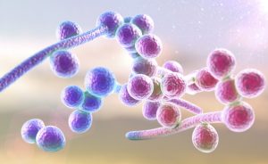 Se a candida de facilitar a transmissão do HIV?